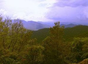 Wildernest Nature Resort Chorla Εξωτερικό φωτογραφία
